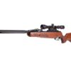 Gamo Swarm Bone Collector 10X Gen3i Multi-Shot