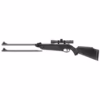 Beeman Black Cub 1022 –.177 Caliber Air Rifle